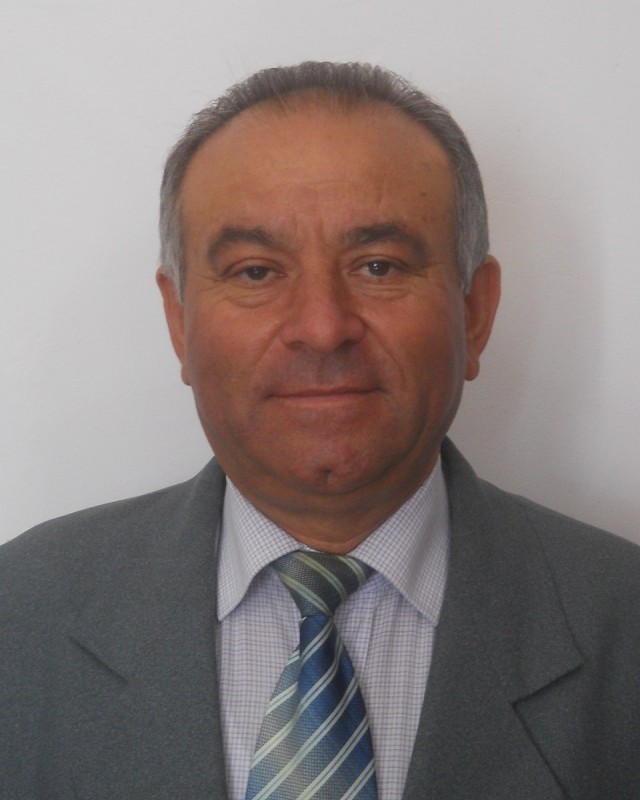 NITULESCU NICOLAE