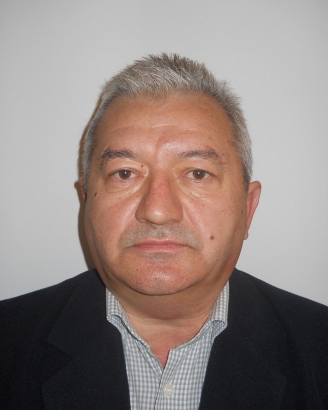 PLOSTINARU VASILE